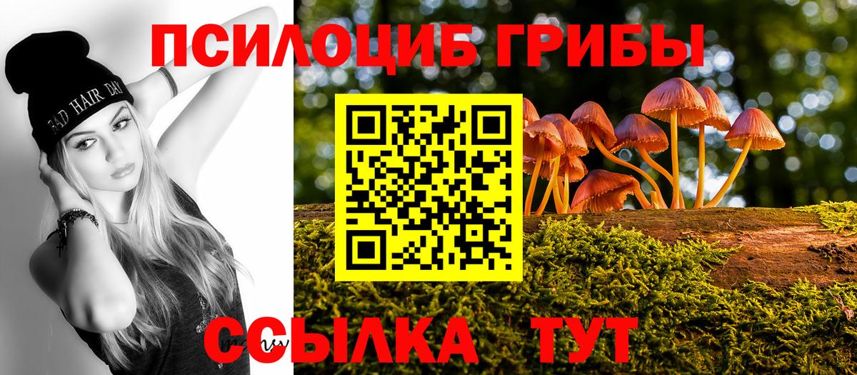 Псилоцибиновые грибы Psilocybe  Галлюциногенные грибы Psilocybine cubensis  Зима  Вход с VPN 
